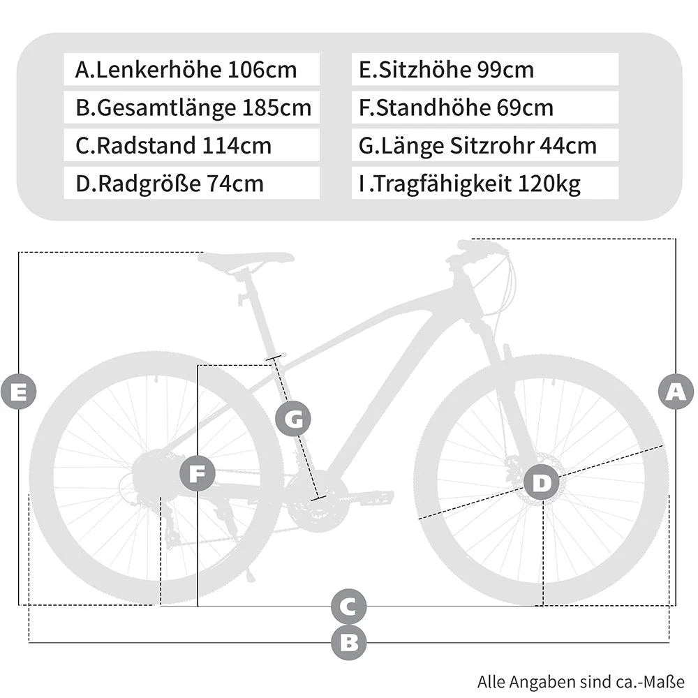 VANKEL Mountain Bike 29 Inch MTB for Women and Men, Shimano 21 Speed