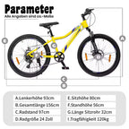 VANKEL Mountainbike 24 Zoll Jungen Mädchen Kinderrad 6 Gang Schaltung Kettenschaltung, B-Ware