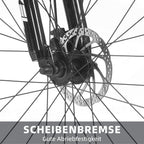 VANKEL Mountainbike Fahrrad 29 Zoll MTB für Damen und Herren, Shimano 21 Gang, B-Ware