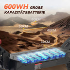 LEAWIN T4 Elektroroller E-Roller (10 Zoll, Schwarz)- B-Ware