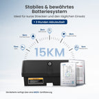 Sweetrich Elektromobil S2 schneller Aufbau seniorenmobil ,15 km Reichweite (Farbe-Blau)- B-Ware