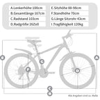 Lauxjack 26 & 28 zoll Mountainbike weiss - B-Ware